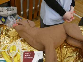 P1020172.JPG