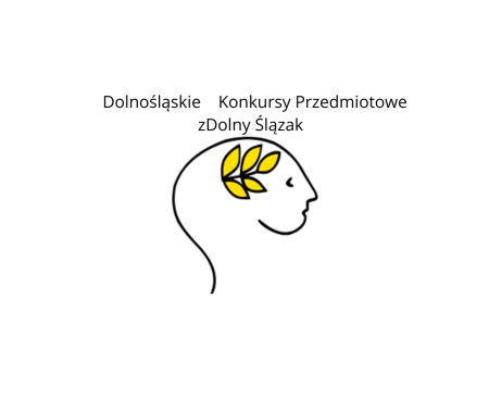 zDolny Ślązak 2025/2026